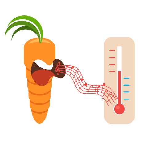 Warm-up illustration